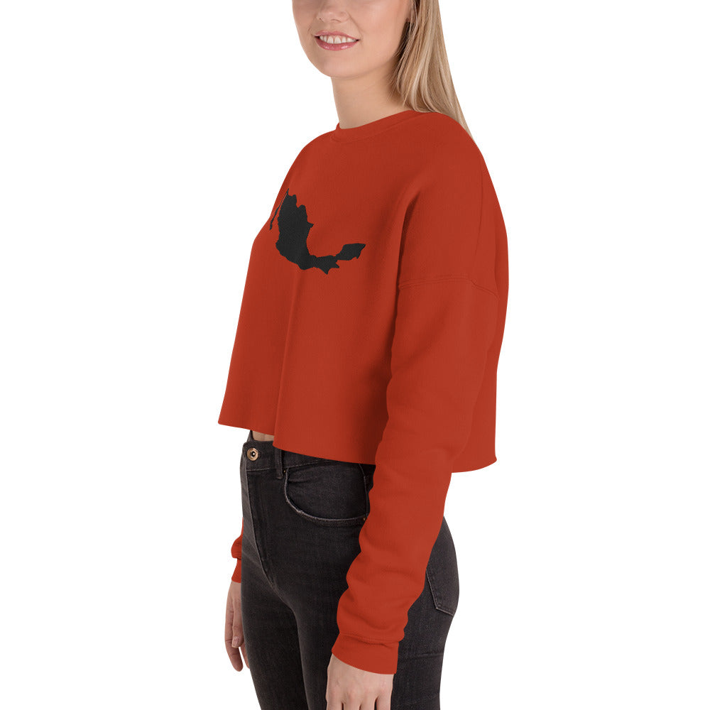Mexico Crop Sweatshirt (Embroidered)